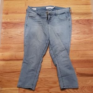 Torrid Jeans